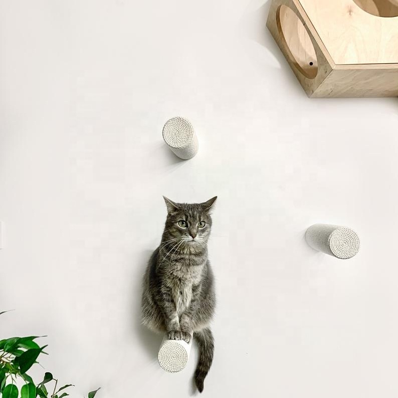 Новинка 2021, стены с кошачьими деревьями, лестницы для кошек, полки для кошек