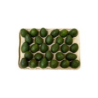 Volledig afbreekbare papierpulp fruitbak, milieuvriendelijke gevormde vezelverpakking voor appels, peren en perziken, biologisch afbreekbare productenverpakking.