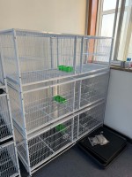 Cage à oiseaux commerciale PAIPET, cage d'élevage en métal multi-niveaux, conception à cloisons empilables pour animalerie, volière, vente en gros