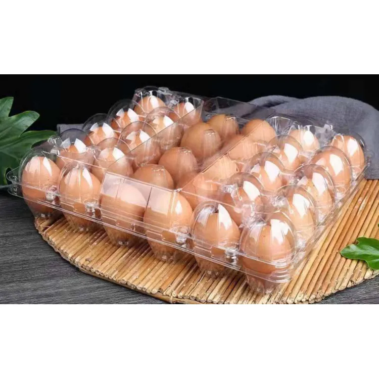 30穴PVC PET透明長方形プラスチックブリスター卵トレイ