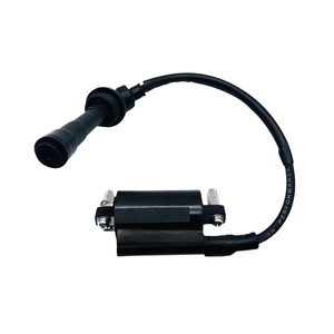 Bobine d'allumage Jilong QJ250GY2 2235 pour moto monocylindre Benelli 250, pièce de rechange - Product Image 3
