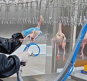 Machine industrielle de retrait des poumons de volaille en acier inoxydable SUS304, aspirateur à vide poussé 3000BPH pour usine d'abattage de poulets - Product Image 3