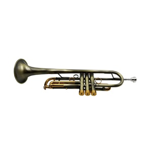 <span class=keywords><strong>Trompeta</strong></span> Profesional SEASOUND Tono Si Bemol Estilo Vintage OEM Cuerpo de Latón Dorado con Llaves Duraderas JYTR409DVGGL - Product Image 3