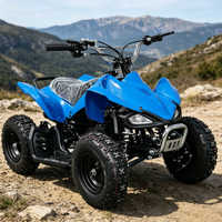 Minimoto de Cuatro Ruedas de Larga Distancia con Freno de Disco Único y Transmisión Automática por Cadena
