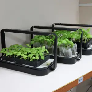 Kit da giardinaggio per interni con erba idroponica piantina luce Microgreens Kit vassoio con Timer intelligente