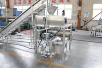 Automatische tomatenpuree productielijn 500kg/uur, tomatensaus verwerkingsmachine met CE-certificering