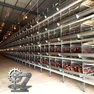 เครื่องเก็บไข่ไก่ HENGQI HqH4 รุ่นใหม่ ปี 2026 แบบอัตโนมัติ โครงเหล็กชุบสังกะสีแบบจุ่มร้อน  มอเตอร์คู่ ลดการแตกหัก สำหรับสัตว์ปีก - Product Image 4