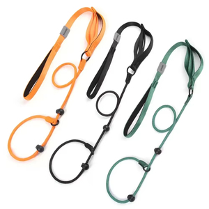 Laisse de dressage pour chien en nylon avec double poignée, laisse de marche robuste anti-traction pour chiot - Product Image 1