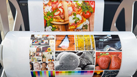 Printer Label Inkjet New Focus Viper-391S Tinta Pigment Head Print HP Kontrol Layar Sentuh Otomatis dengan 1 Tahun Garansi 1200dpi