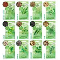Kit de 12 variétés de graines de plantes aromatiques cadeau pour adultes enfants débutants et jardiniers-menthe basilic origan pour jardins extérieurs