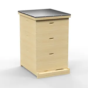 Colmena de la abeja de langstroth colmena 10 marcos de madera de colmenas de abejas