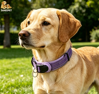 Colliers personnalisés en cuir PU pour chats et chiens, anti-perte, réfléchissants, réglables, écologiques, avec emplacement pour localisateur