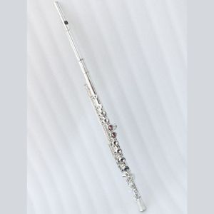 Niveau étudiant haut de gamme 16 trous trou fermé conception flûte transversale plaqué <span class=keywords><strong>argent</strong></span> C ton métal flûte - Product Image 1