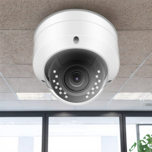 1 năm 6MP PoE <span class=keywords><strong>Dome</strong></span> sử dụng 1080P mạng IR NVR IP Camera VCA ai mặt xe phát hiện không thấm nước nhãn cầu trong nhà ngoài trời máy ảnh - Product Image 2
