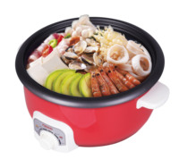Vente flash - Cuisinière électrique multifonctionnelle 1300W, capacité 3L, avec bouton de réglage de la puissance, modèle classique