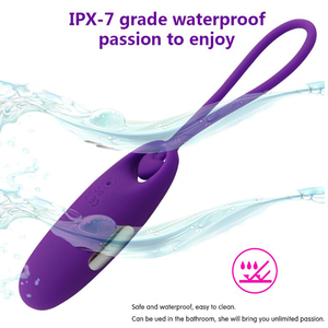 <b>Vibrating</b> Egg Clitoral <b>Vibrator</b> USB Rechargeable Waterproof Adult Stimulation Toy - Product Image 5
