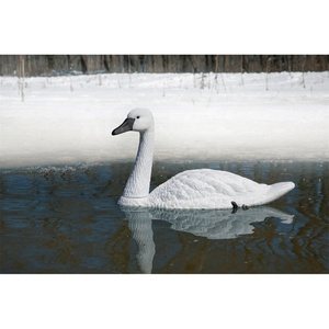 Xilei Vente en gros Cygne muet gris cygne artificiel cygne flottant leurres pour le contrôle des <span class=keywords><strong>oies</strong></span> canadiennes - Product Image 5