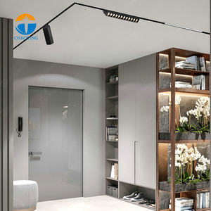 Luz de pista Led <span class=keywords><strong>Shopee</strong></span> magnética DC48v, arandela de pared, riel magnético, rejilla plegable, luz de bola de inundación, iluminación de pista ajustable Focust - Product Image 1