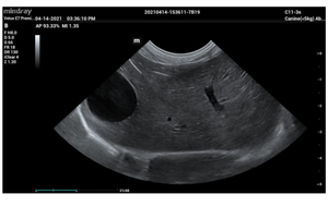 Ecógrafo Médico Portátil Mindray Vetus E7, Certificado CE Clase II, Construcción Metálica, 1 Año de Garantía - Product Image 5