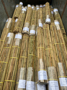 Estacas de Bambú Agrícolas Resistentes, Cañas Naturales para Jardín, Soporte para Plantas de Viñedo y Tomate, Precio de Fabricante - Product Image 4