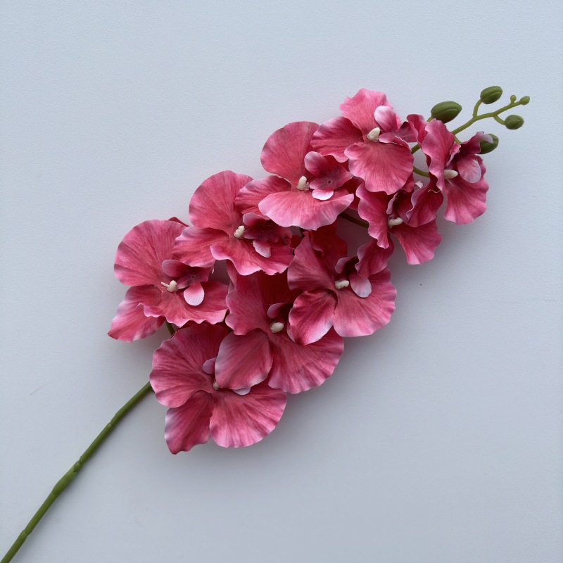 Hot pink