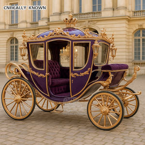 Chariot de mariage Royal Cendrillon personnalisé avec climatisation et éclairage LED – Grande Vente - Product Image 1