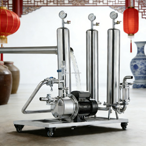 Máquina Filtradora de Alcohol Totalmente Automática <span class=keywords><strong>Comercial</strong></span> GHO/Filtración de Vodka con Carbón al <span class=keywords><strong>Mejor</strong></span> Precio/Carcasa de Filtro para <span class=keywords><strong>Whisky</strong></span> - Product Image 3