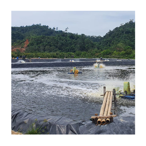 Géomembranes industrielles en HDPE/LDPE/LLDPE 0,75 mm 1 mm 1,5 mm 2 mm 45 mil, bâche imperméable <span class=keywords><strong>pour</strong></span> lacs artificiels, barrages, étangs à poissons - Product Image 6