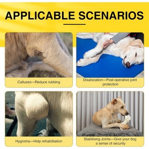 Equipo de protección Flexible <span class=keywords><strong>para</strong></span> perros, cinturón elástico, <span class=keywords><strong>rodilleras</strong></span> funcionales de compresión, coderas, uso en gimnasio, alivia el dolor articular de las piernas, postoperatorio - Product Image 6