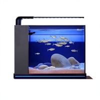 Aquarium en verre ultra-clair sans bordure avec éclairage LED intégré, filtre latéral dissimulé et filtration multi-étapes pour bureau et maison