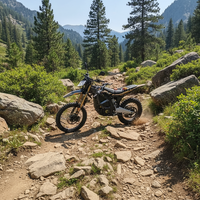 Moto électrique Sur-Ron Ultra Bee 27HP, puissante et longue durée de vie, pour la course tout-terrain compétitive