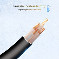 Cable de Alimentación NYY 5x16mm 30A IP68 YJV/U1000 de Bajo Voltaje con Aislamiento XLPE y Conductor de Cobre Libre de Oxígeno con Revestimiento de PVC