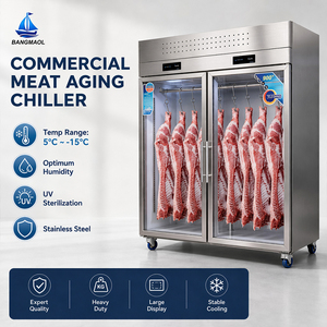Vitrine réfrigérée verticale pour viande avec porte vitrée, congélateur et étagères pour <span class=keywords><strong>boucherie</strong></span>, idéale pour la présentation et le refroidissement de la viande. - Product Image 2