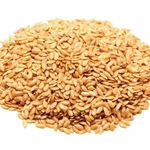 Semillas de lino amarillo dorado, alta proteína, suministro profesional, precio de semilla de lino
