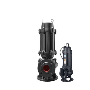 Pompe à eau submersible en acier inoxydable 240/220v pour l'irrigation agricole - Product Image 1