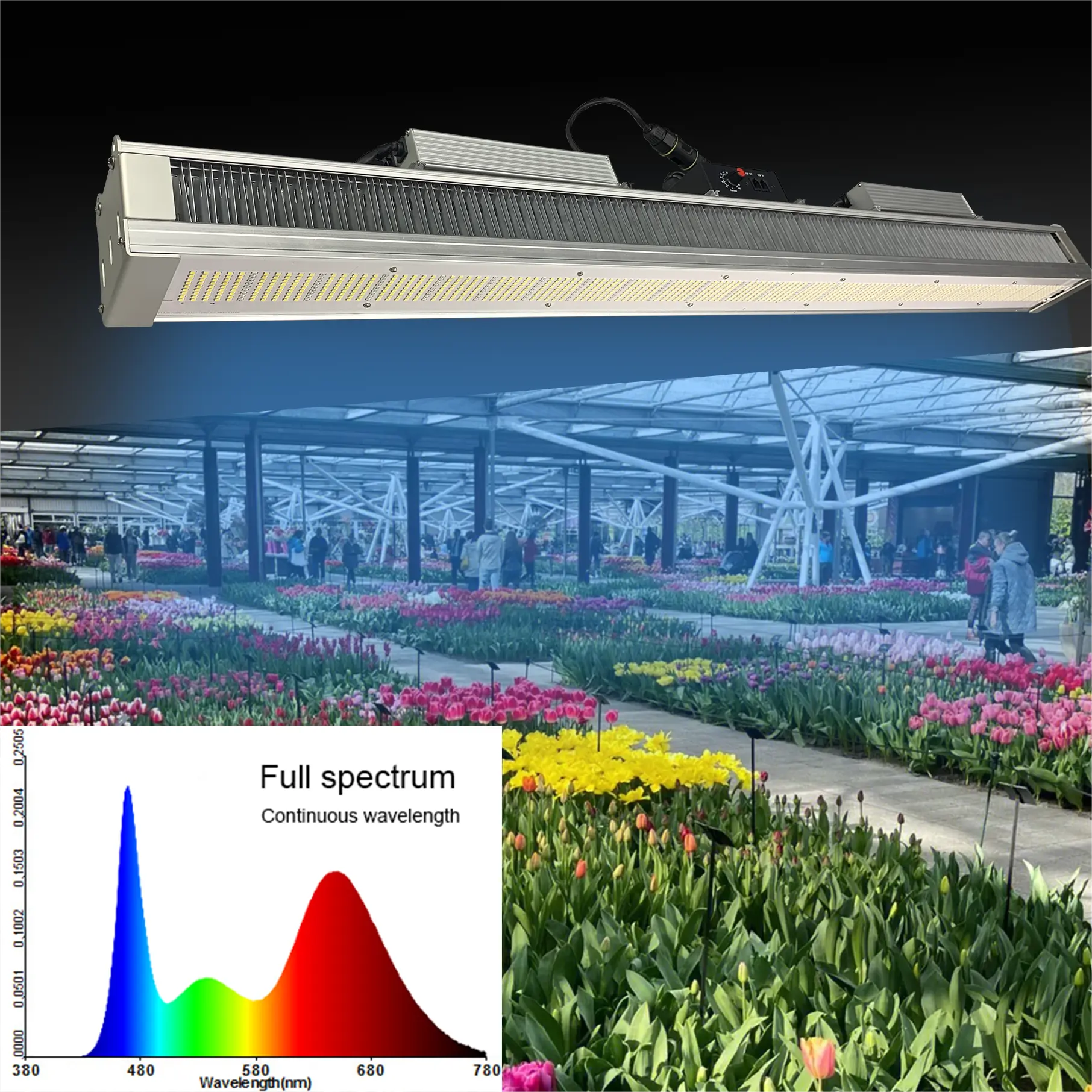 Commerciële Aardbei Plant Licht Succulente Venus Flytrap Teelt Groei Licht Verticale Landbouw Groeien Licht