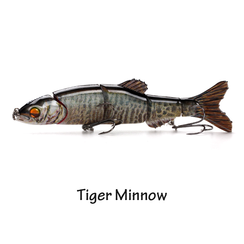 Tiger Minnow
