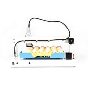 Máquina de Impresión de Códigos para Huevos con Motor para 220V, Impresión de Fecha de Caducidad, Logotipo y Número de Serie, Precio de Fábrica - Product Image 1