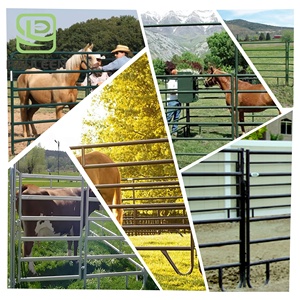 Paneles de patio de cerca de <span class=keywords><strong>corral</strong></span> de ganado de metal galvanizado con puertas de red de granja para diseño de construcción de acero Panel de caballo - Product Image 6