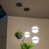 AllMarket Plant Chandelier Fleurs Bar de chevet Boule de verre créative Lampes LED