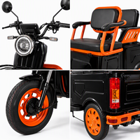 Sepeda Motor Listrik Roda Tiga 500W 60V Jarak Tempuh 60KM Skuter Mobilitas Sepeda Motor Skuter Listrik Roda 3