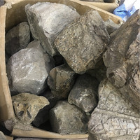 Fósil de hueso de dinosaurio Natural a granel, piedra de cristal para colección, venta al por mayor