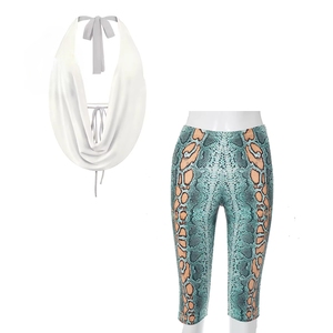 Conjunto de Shorts Modernos para Mujer Peeqi, Top sin Espalda y Pantalones Cortos con Estampado de Leopardo, Conjunto Sexy de Dos Piezas para Mujer - Product Image 5