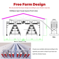 Cage de type A pour poules pondeuses, cage en batterie pour poulets de ferme, poulailler pour fermes avicoles