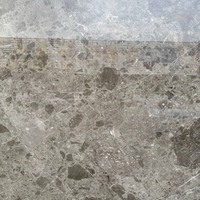 Cicili Gris Dolomite Poli Grande Dalle OEM Pierre Naturelle Marbre Escalier Comptoir Entrée Design Contemporain Qualité Supérieure Personnalisé