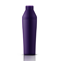 Shaker à cocktails isolé en acier inoxydable froid - Kit de démarrage pour barman - Essentiels pour bar à domicile