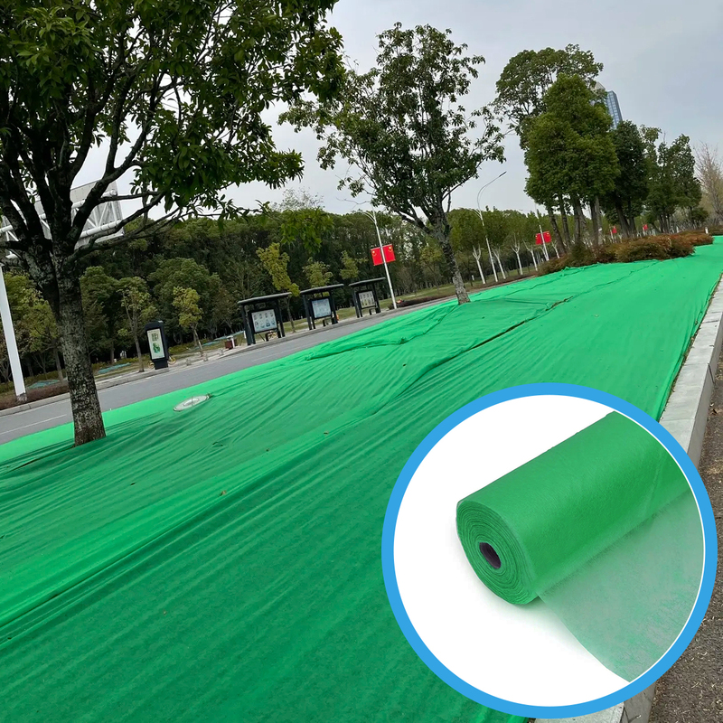 Width 4 6 9 Inches Green