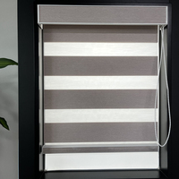 Persianas Enrollables Modernas con Tela Filtrante de Luz, Tipo Zebra, para Decoración de Sala de Estar y Dormitorio