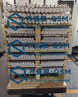 Prix d'usine, filtration à flux croisé, microfiltration, élément de membrane céramique MF, garantie 1 an pour l'élimination des bactéries, marque QSM
