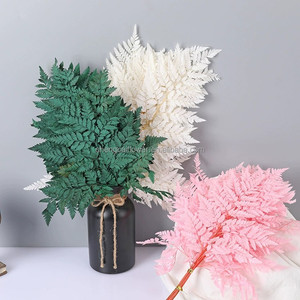 Fiori e piante conservati 10 pz foglie di <span class=keywords><strong>felce</strong></span> bianche secche naturale vera aracniodi in pelle di <span class=keywords><strong>felce</strong></span> per decorazioni per la casa di nozze - Product Image 6